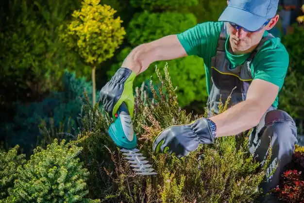 landscaping services North Lindenhurst